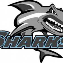 Sharks Swim Club